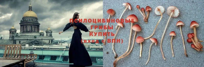 Галлюциногенные грибы Magic Shrooms  Осташков 